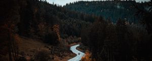 Preview wallpaper road, winding, forest, trees