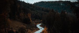 Preview wallpaper road, winding, forest, trees