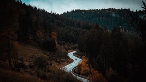 Preview wallpaper road, winding, forest, trees