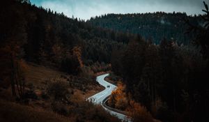 Preview wallpaper road, winding, forest, trees
