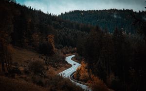 Preview wallpaper road, winding, forest, trees