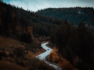 Preview wallpaper road, winding, forest, trees