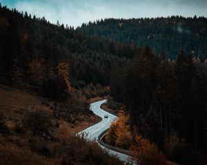 Preview wallpaper road, winding, forest, trees