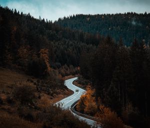 Preview wallpaper road, winding, forest, trees