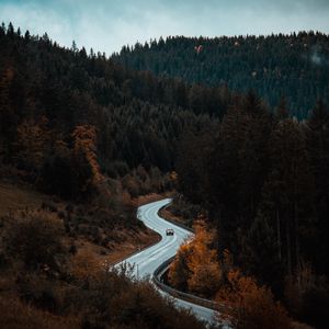 Preview wallpaper road, winding, forest, trees