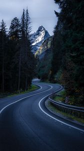 Preview wallpaper road, winding, mountain, peak, trees, nature