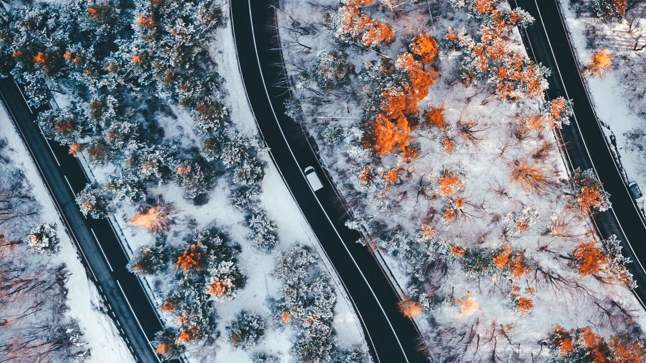 Wallpaper road, winding, trees, snow, panorama, aerial view, zigzag