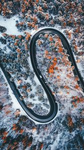 Preview wallpaper road, winding, trees, snow, panorama, aerial view, zigzag