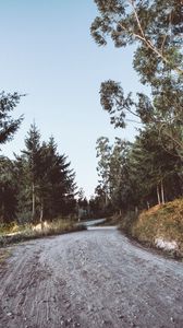 Preview wallpaper road, winding, trees, nature