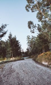 Preview wallpaper road, winding, trees, nature
