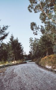 Preview wallpaper road, winding, trees, nature