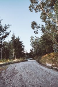 Preview wallpaper road, winding, trees, nature