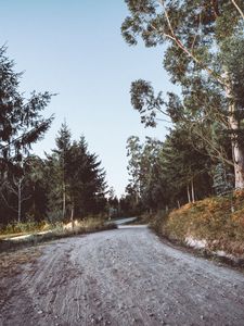 Preview wallpaper road, winding, trees, nature