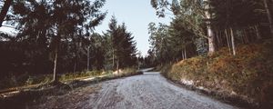 Preview wallpaper road, winding, trees, nature