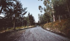 Preview wallpaper road, winding, trees, nature