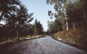 Preview wallpaper road, winding, trees, nature