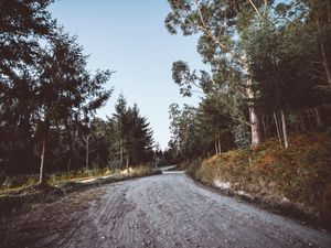 Preview wallpaper road, winding, trees, nature