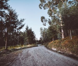 Preview wallpaper road, winding, trees, nature