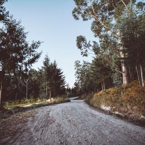 Preview wallpaper road, winding, trees, nature