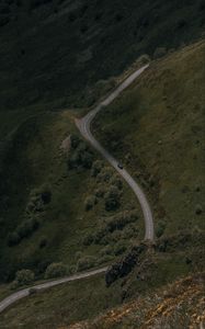 Preview wallpaper road, winding, trees, car