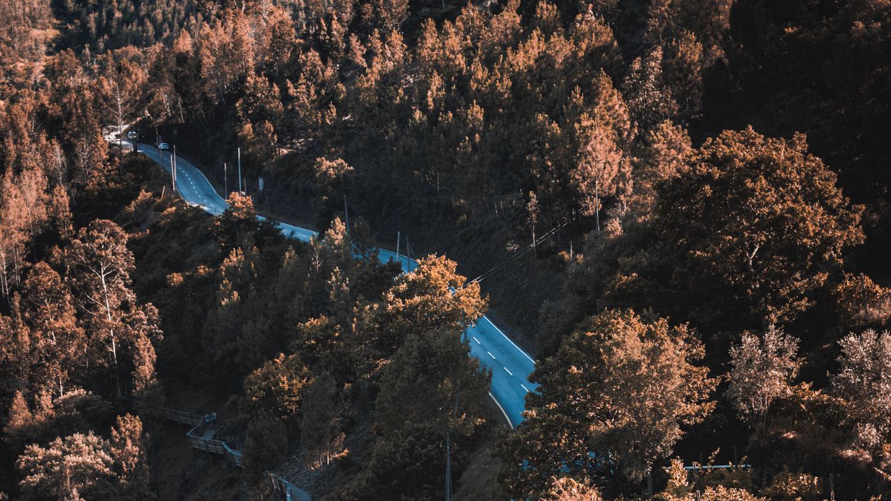 Wallpaper road, winding, trees, bushes