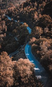 Preview wallpaper road, winding, trees, bushes