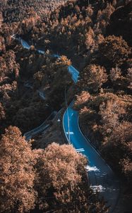 Preview wallpaper road, winding, trees, bushes