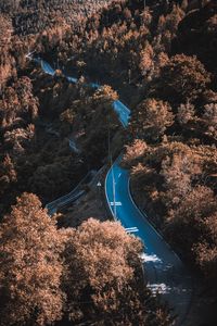 Preview wallpaper road, winding, trees, bushes