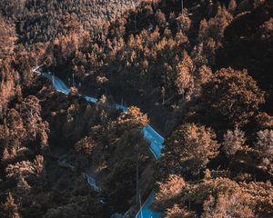 Preview wallpaper road, winding, trees, bushes