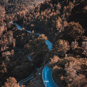 Preview wallpaper road, winding, trees, bushes