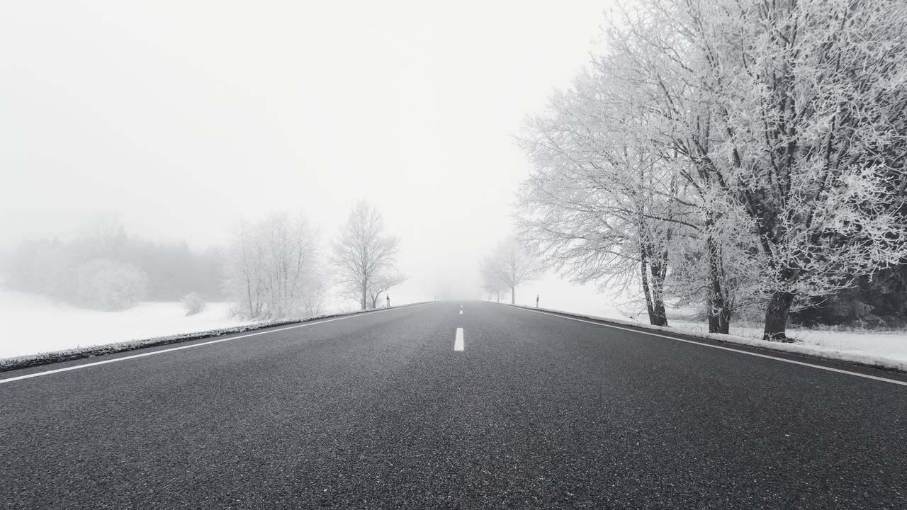 Wallpaper road, winter, bw, snow, fog, trees, direction