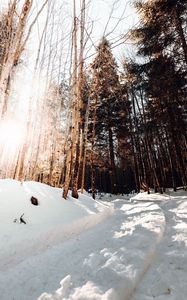 Preview wallpaper road, winter, snow, pines