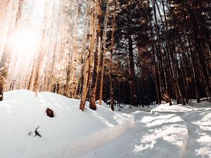 Preview wallpaper road, winter, snow, pines