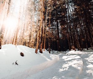 Preview wallpaper road, winter, snow, pines