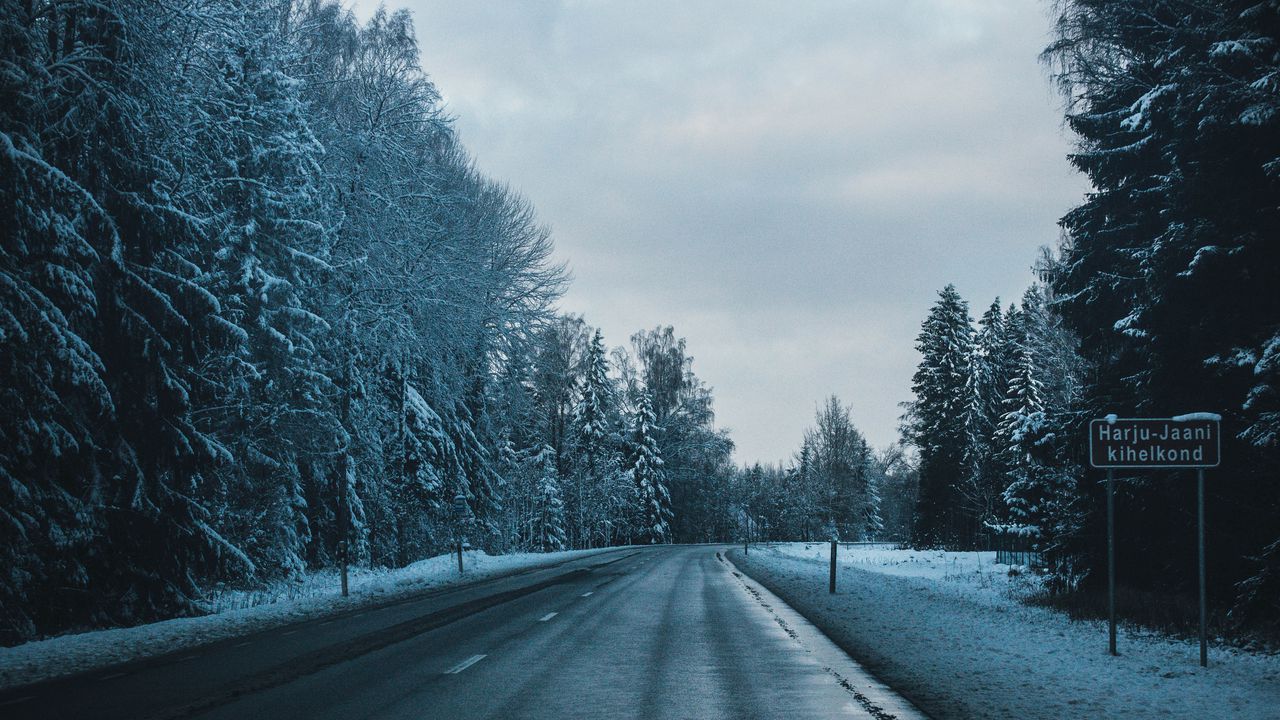 Wallpaper road, winter, trees, turn