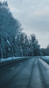 Preview wallpaper road, winter, trees, turn