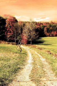 Preview wallpaper road, wood, field, trees, autumn, colors