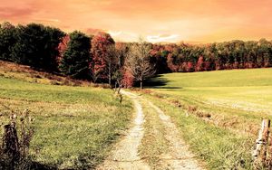 Preview wallpaper road, wood, field, trees, autumn, colors