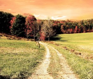 Preview wallpaper road, wood, field, trees, autumn, colors