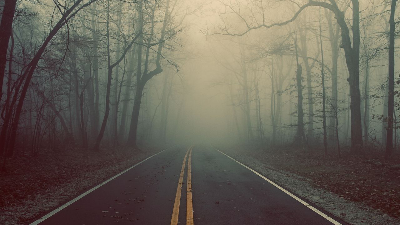 Wallpaper road, wood, fog, marking, lines, mysticism, riddle, haze