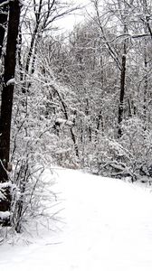 Preview wallpaper road, wood, snow, winter