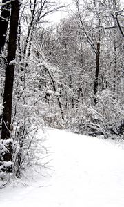 Preview wallpaper road, wood, snow, winter