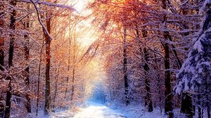 Preview wallpaper road, wood, trees, snow, winter, avenue, sun, light, beams
