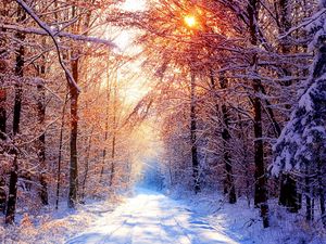 Preview wallpaper road, wood, trees, snow, winter, avenue, sun, light, beams