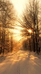 Preview wallpaper road, wood, winter, snow, trees, sunlight, beams, shades