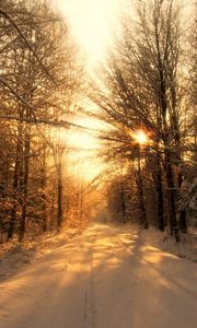 Preview wallpaper road, wood, winter, snow, trees, sunlight, beams, shades