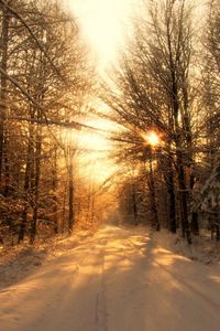 Preview wallpaper road, wood, winter, snow, trees, sunlight, beams, shades