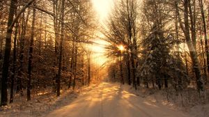Preview wallpaper road, wood, winter, snow, trees, sunlight, beams, shades