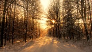 Preview wallpaper road, wood, winter, snow, trees, sunlight, beams, shades