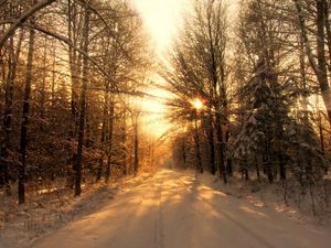 Preview wallpaper road, wood, winter, snow, trees, sunlight, beams, shades